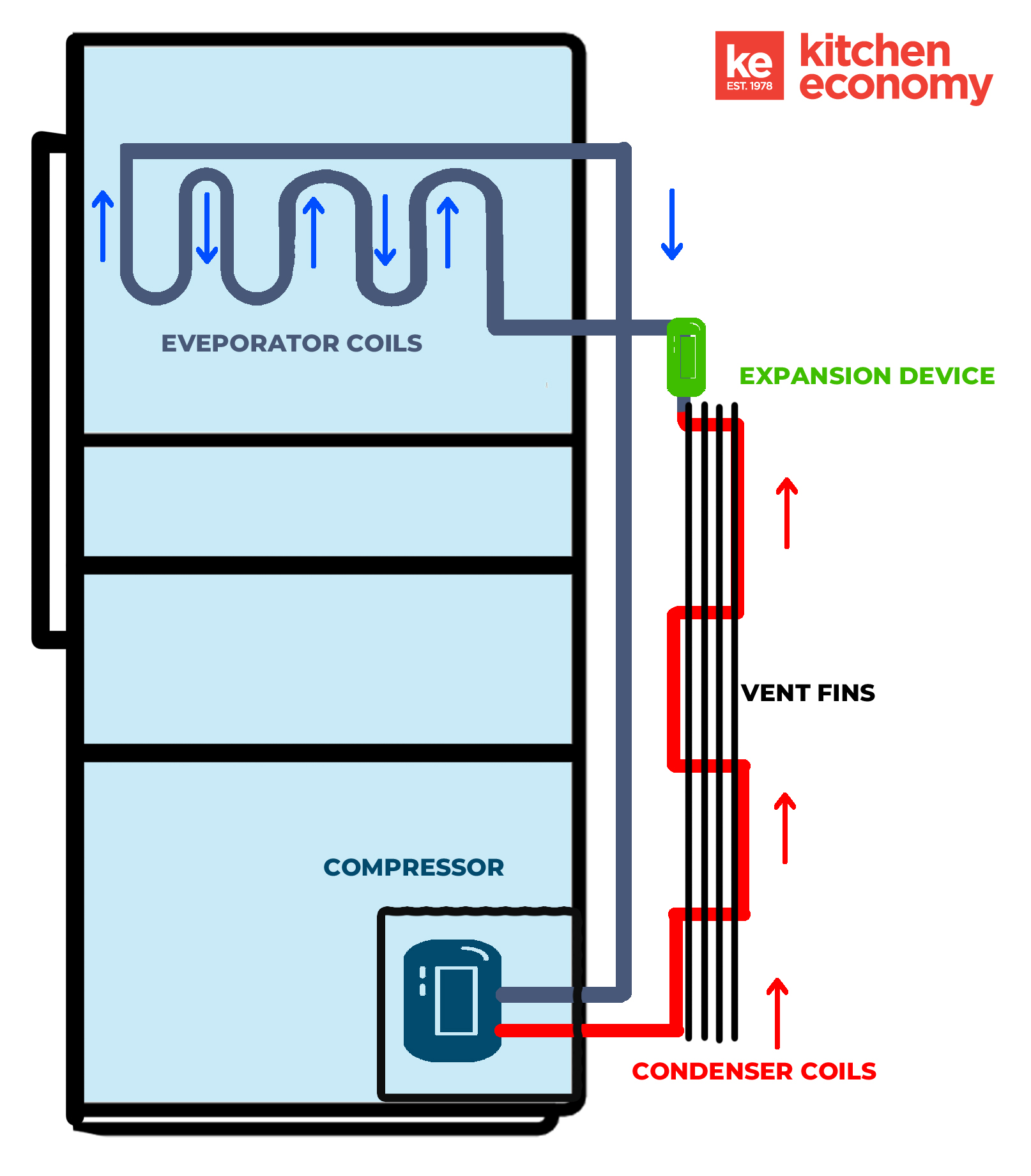 How Does a Freezer Work?