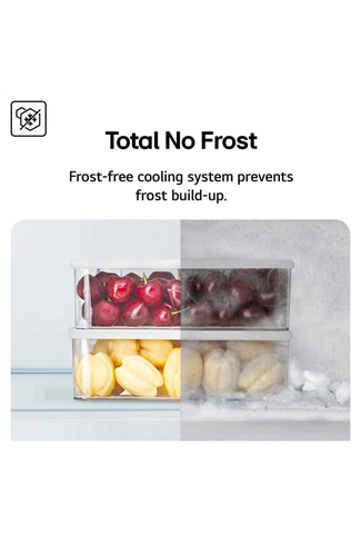 LG GBBS524CEV 59.7cm Black Steel Frost Free Fridge Freezer